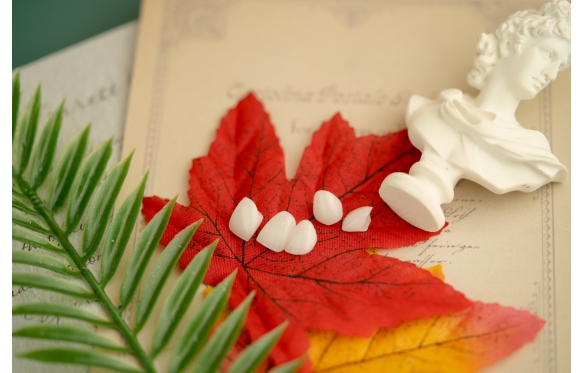 Làm Răng Sứ Lava 3M Tại Cà Mau - Nha Khoa Smile Dental Uy Tín Hàng Đầu